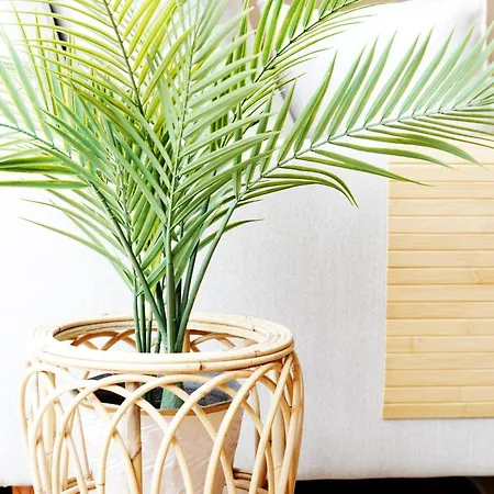 Maranorte - T2 Com Terraco A 600m Da Apartment Moledo (Viana do Castelo)