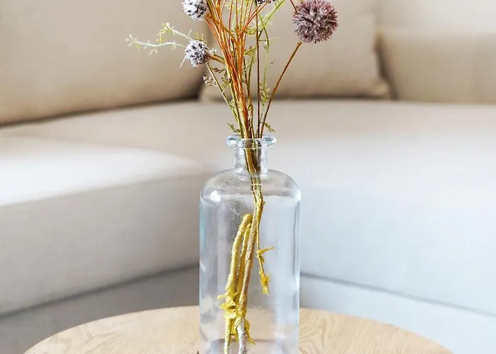 Maranorte - T2 Com Terraco A 600m Da *