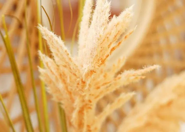 Maranorte - T2 Com Terraco A 600m Da Moledo (Viana do Castelo)