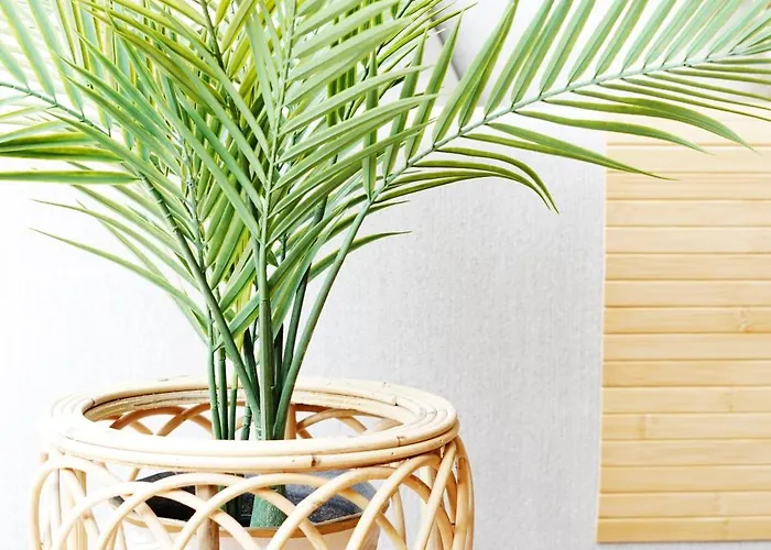 Maranorte - T2 Com Terraco A 600m Da Apartment Moledo (Viana do Castelo)